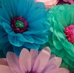 Meet your Posher, Tammy